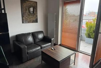 Doua camere mobilat/utilat stil industrial cu terasa zona Parc Carol - 18