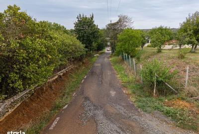 Teren de 1584 mp, în Pișchia - 7