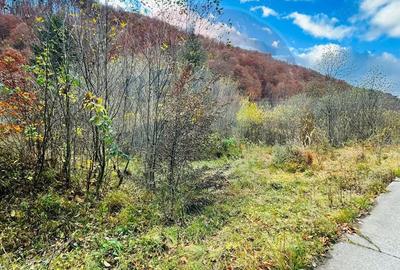 Teren 4,877mp Mara / Strada Principala - 6