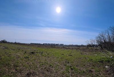 Spațiu comercial, în Berceni - 3