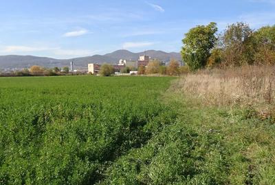 Vand teren intravilan in Deva suprafata totala 43 000 mp, zona Auchan - 7