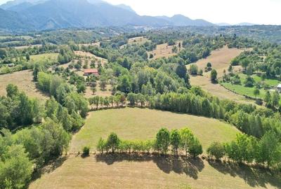 Teren intravilan, priveliste deosebita - 6