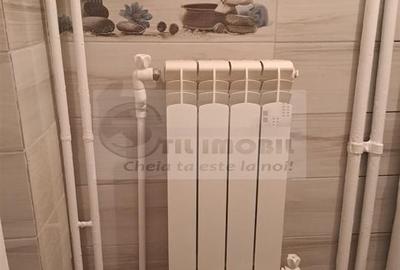 Apartament 1 Camera Decomandat - 360 euro - 12