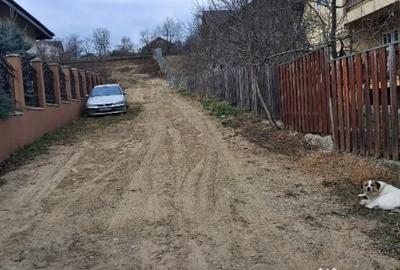 Teren de 1350 mp, în Dorobanț - 4