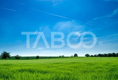 Teren de vanzare 9369 mp langa viitoarea centura Sud a Sibiului - 1