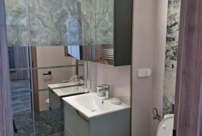 Apartament cu 3 camere în Lujerului