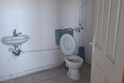 Spatii depozitare /productie Linia de Centura Leordeni-Glina - 37