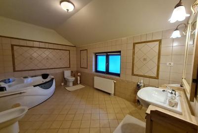 Poziție de top în Dumbravita Poziție de top în Dumbravita - 28