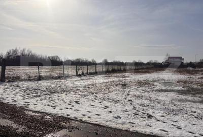 Teren de 447 mp, în Priseaca - 7