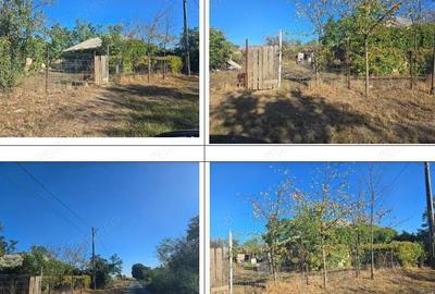 Casa si teren-Com Tamadau Mare, jud. Calarasi - 5