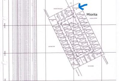 Teren de 909 mp, în Berceni - 2