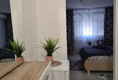 Garsonieră în Țiglina 1 - 4