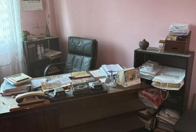 PIATA VICTORIEI ADIACENT DIN BD. TITULESCU, VERONICA MICLE - 10