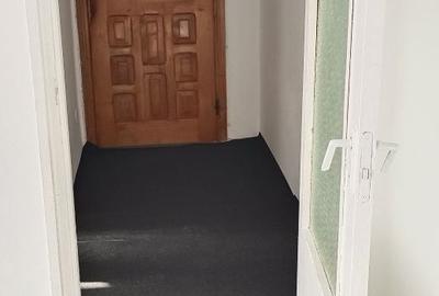 Apartament cu 2 camere decomandat în Sebiș - 6