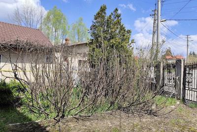 Casă cu Teren 1073 Mp în Voila - 5