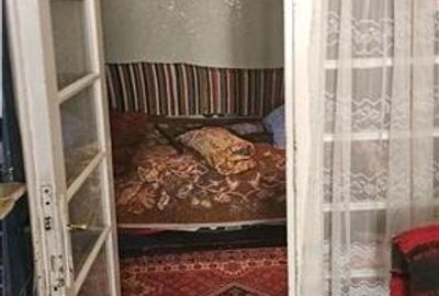 Vanzare Casa individuala+ Teren Gara de Nord-Golescu - 11
