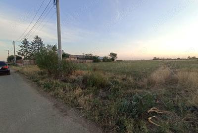 Teren de 2500 mp, în Copaciu - 3