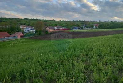 Teren de 2983 mp, în Târnăveni - 5