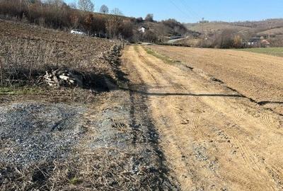 Teren extravilan cu gradina in Saliste - 5