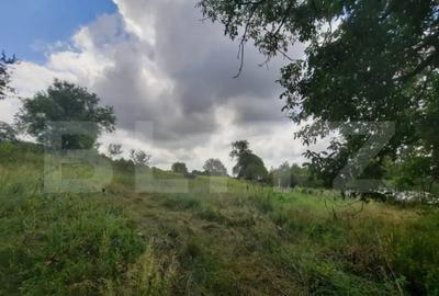 Teren de 5000 mp, în Central - 2