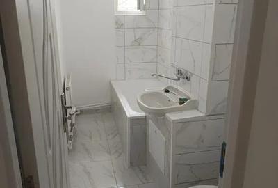 Apartament cu 2 camere decomandat în Nicolina - 2
