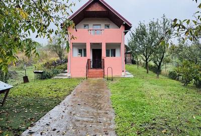 Casă cu 2 camere în Dezmir - 7