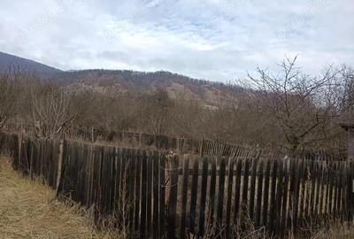 Casă cu 2 camere cu Teren 4115 Mp în Livezi - 3