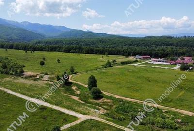 Teren Intravilan 1600 mp in Avrig zona Valea Avrigului Teren Intravilan 1600 mp in Avrig zona Valea Avrigului - 1