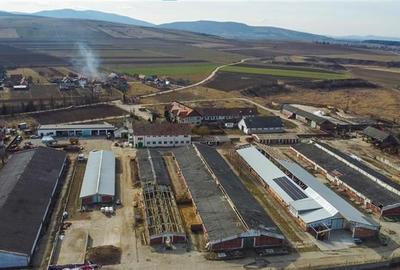 Ansamblu agrozootehnic cu renume,dotat +valoare exceptionala+potential versatil, - 5