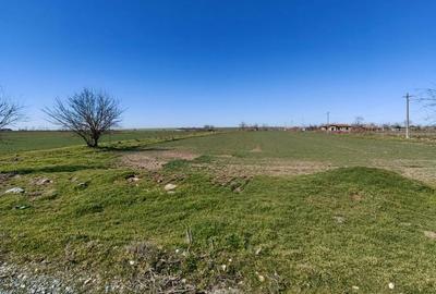 Teren de 7016 mp, în Tortoman - 5