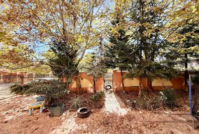 Casă individuală cu 14 camere cu Piscina în Est - 13