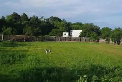 Casă cu 3 camere cu Teren 5000 Mp în Mozăceni - 6