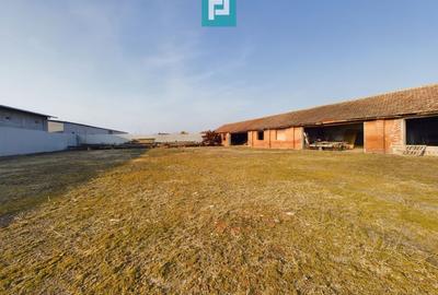 Teren și hale pe calea Aradului în Periam - 13