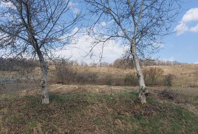 Spațiu comercial, în Remetea - 2