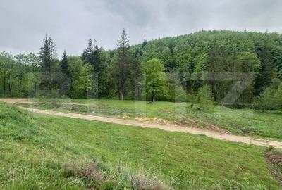 Teren intravilan 20.000 mp, zona Soarecului, Marginea - 3