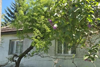 Casă în Central - 1