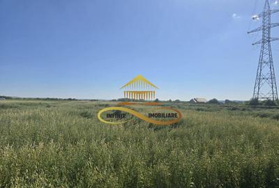 Teren pentru investitori la Calea Romanului 9000 mp - 5
