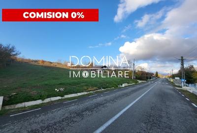 Teren Construcții intravilan de 11939 mp, în Bălănești - 1