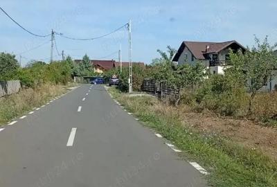 Teren de 12000 mp, în Moșoaia - 4