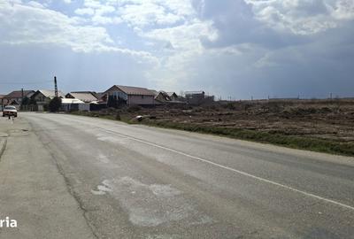 Spațiu comercial, în Bradu - 1