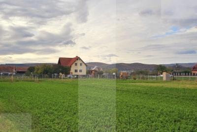 Teren intravilan de 1000mp in Chilieni, zona rezidentiala noua - 1