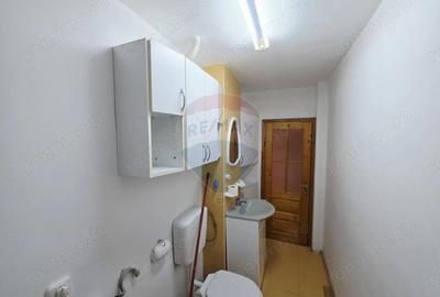 Apartament cu 4 camere de vanzare in zona Calea Romanului - 12