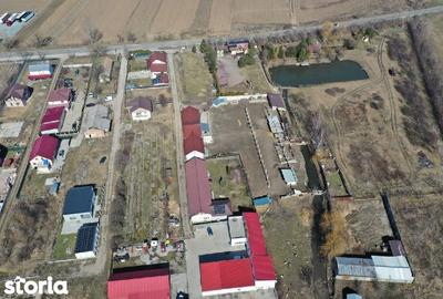 Teren de 6500 mp, în Secuieni - 2