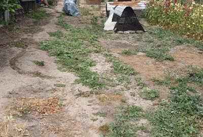 Casă cu 4 camere în Seaca - 2