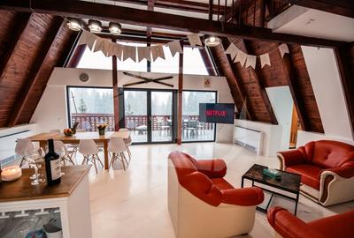 Cabana A-frame 5 camere la Belis / Business functional si profitabil - 4