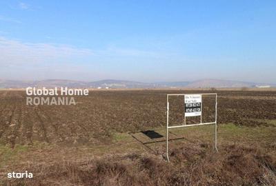 Spațiu comercial, în Chirileu - 7