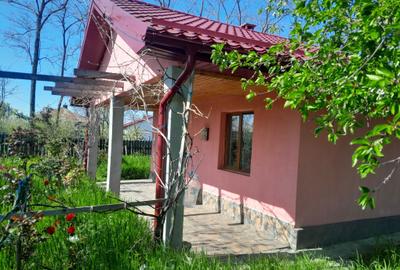 Casă cu 3 camere în Dragoș Vodă - 5