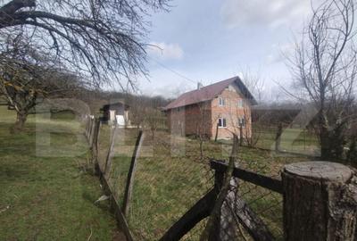 Teren 300 mp + Cabana,zona Livezile,Valea Lunga - 19