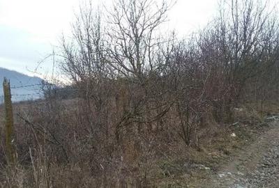 Teren de 5063 mp, în Lechința - 13