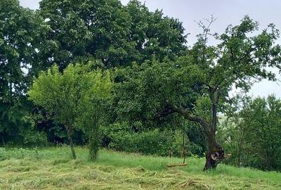 Teren de 5754 mp, în Ohaba Lungă - 2